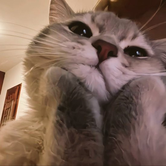 Mindcorner tweet media