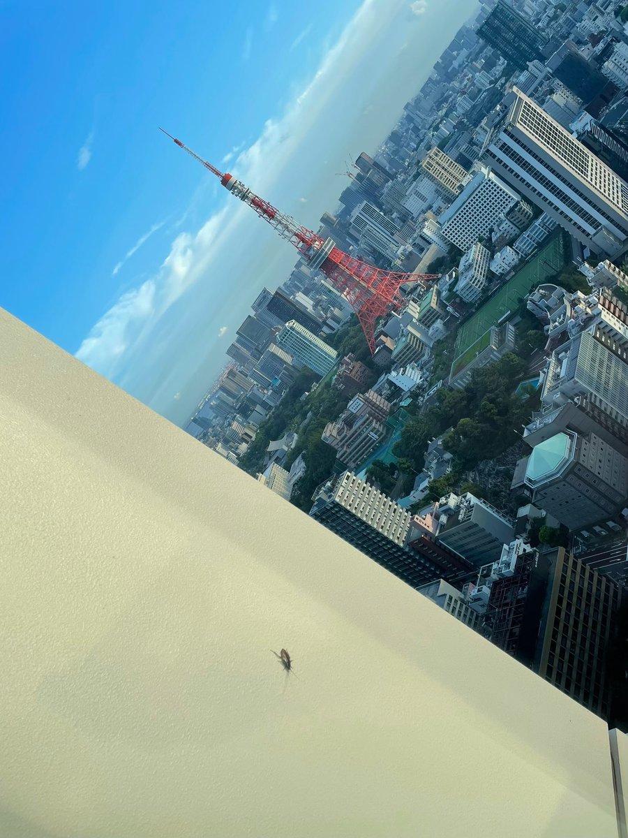 ダックス🐶ホテル×湾岸マンション好き tweet media