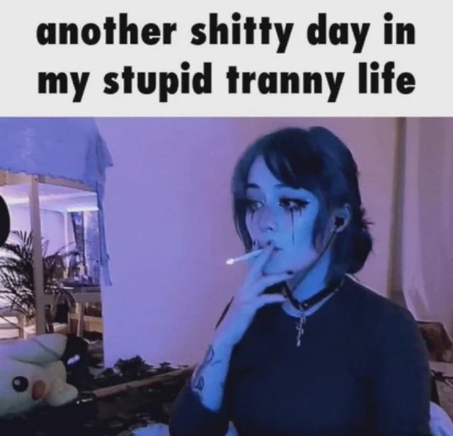 0live 🇵🇸🇸🇩🇨🇺 ⚢ 🐇🐈🦌 ΘΔ tweet media