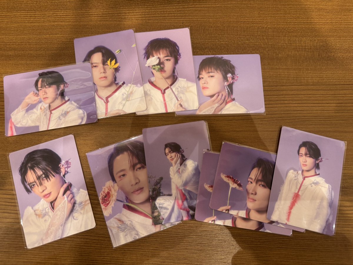 ⸝⋆⸝⋆ tweet media