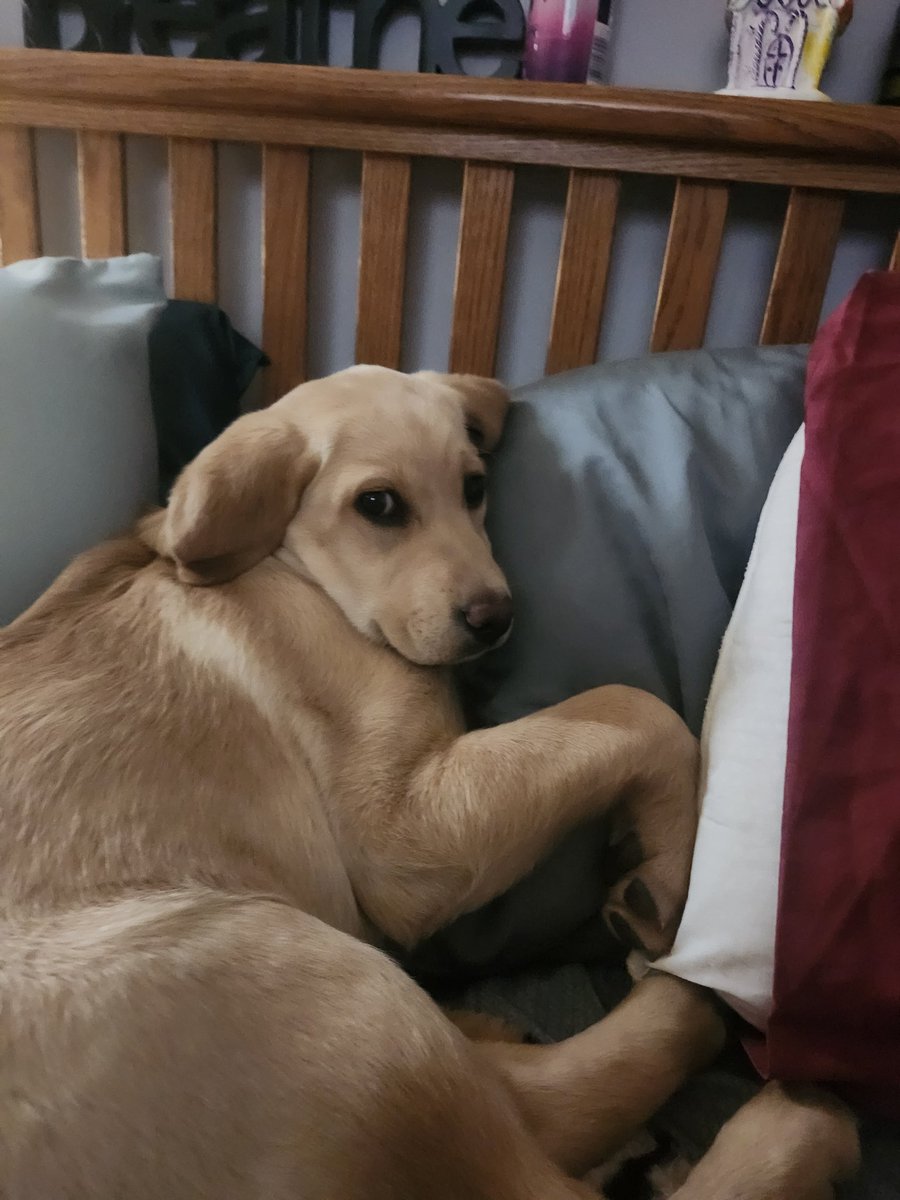 Terry Hlywka tweet media