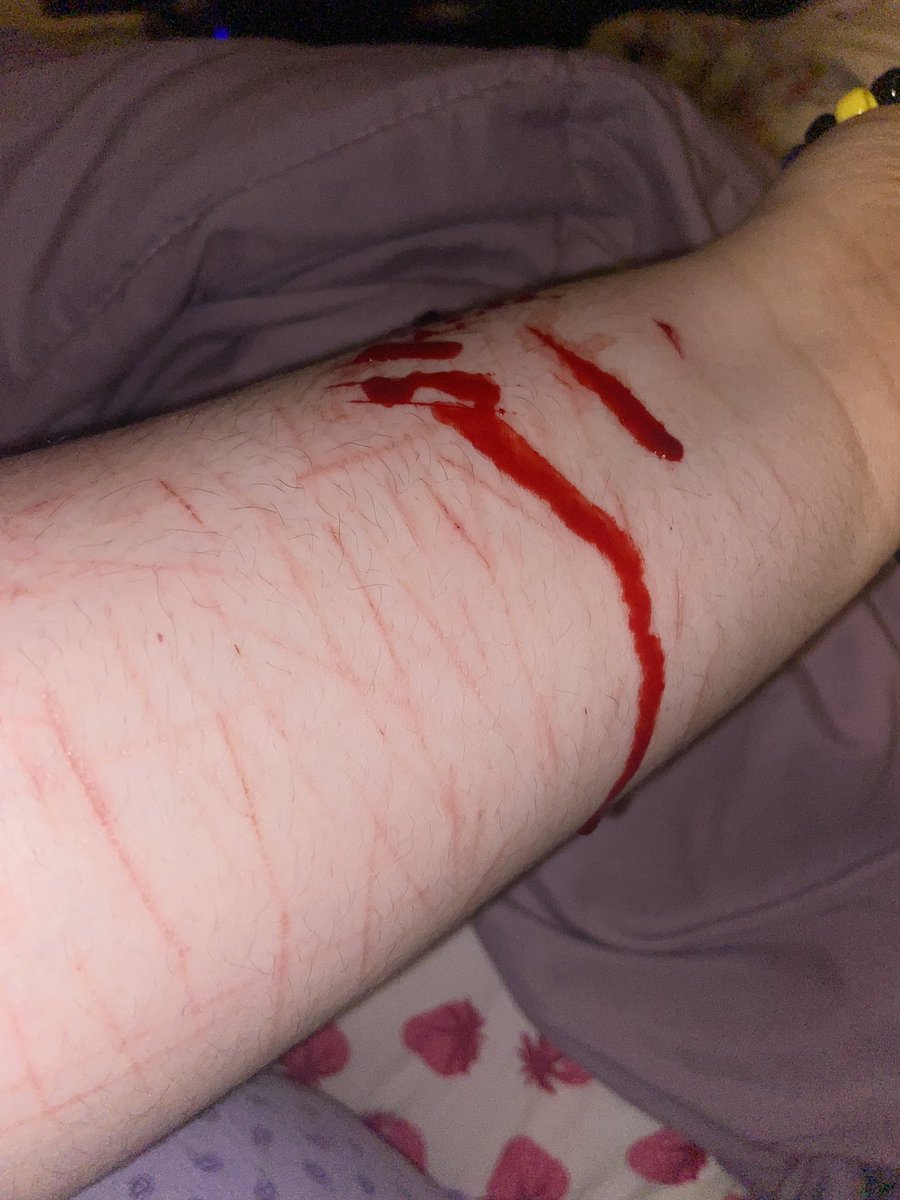 mexican tomoko of shtwt tweet media