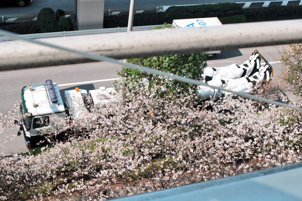 お台場テレビ局でお花見中
#イングラム出動