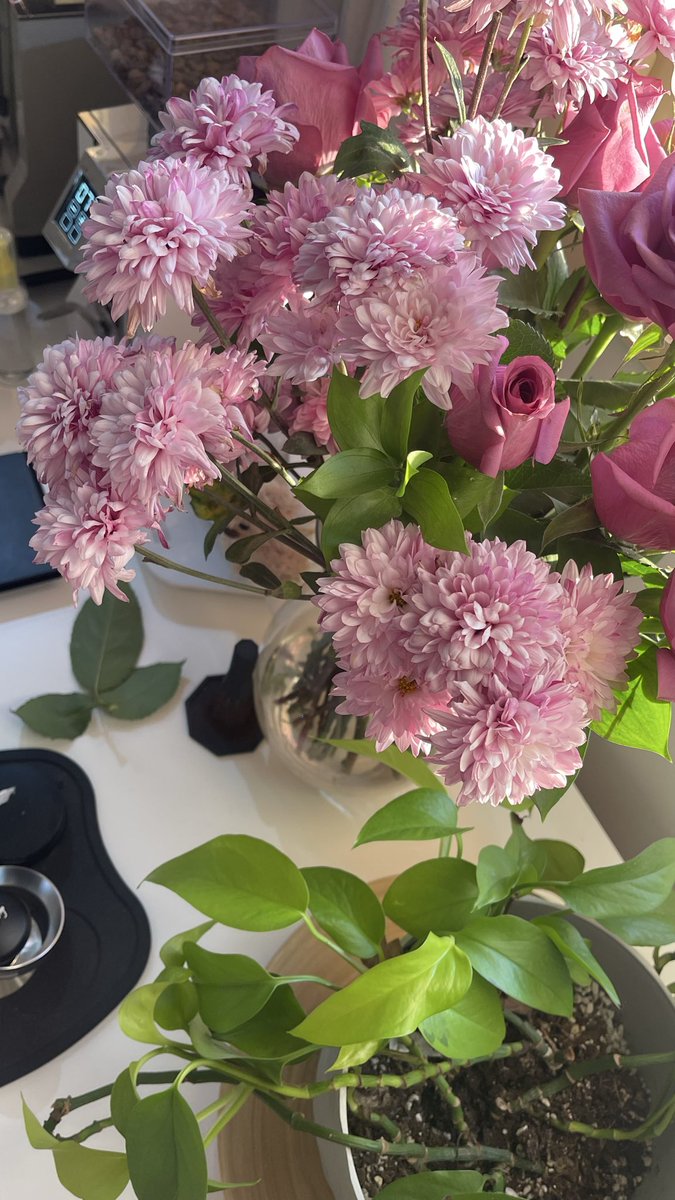 هديل ☕️🤍 tweet media