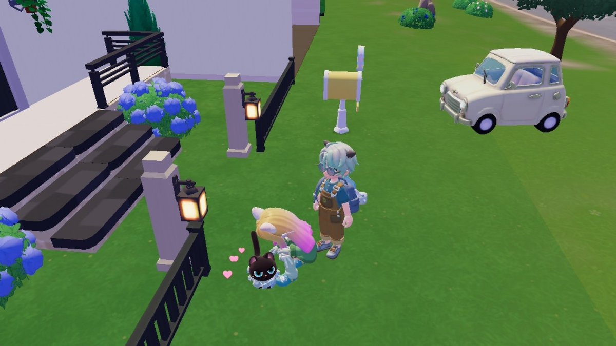 Ruuka 🦚🐤 tweet media