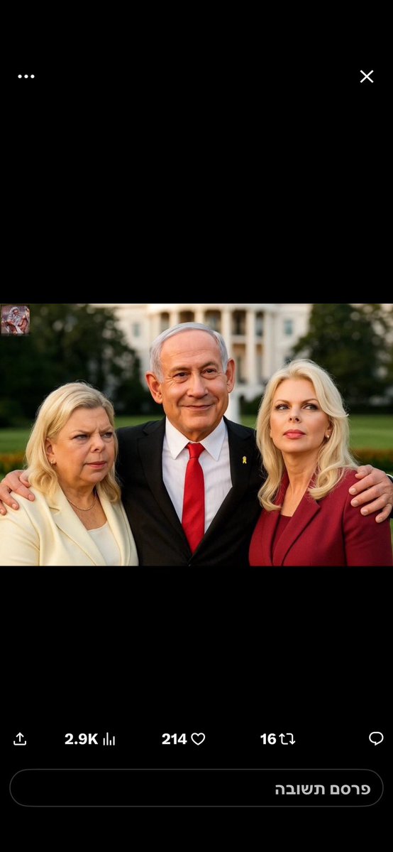 Frida Tuito🚀 tweet media