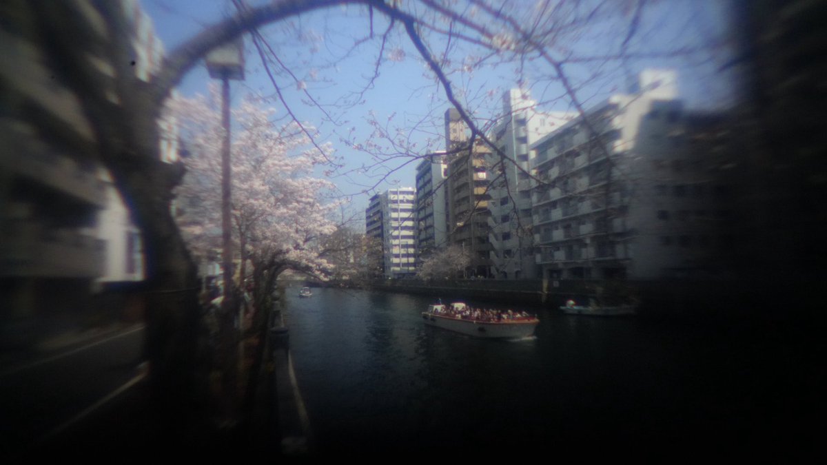 ゴシゴシかごしまちゃんねる 撮影班(仮) tweet media