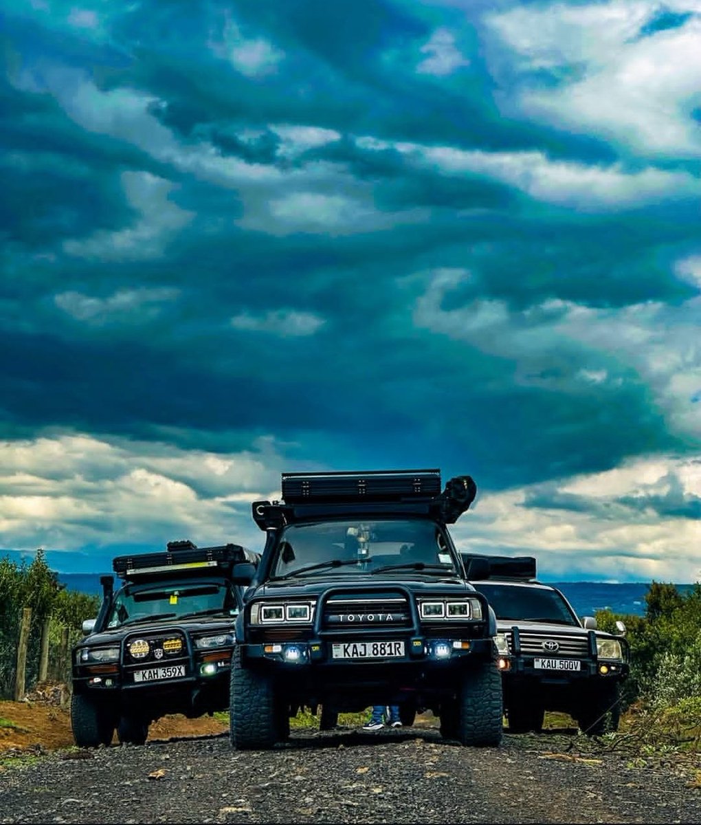 CHOBOS™ tweet media