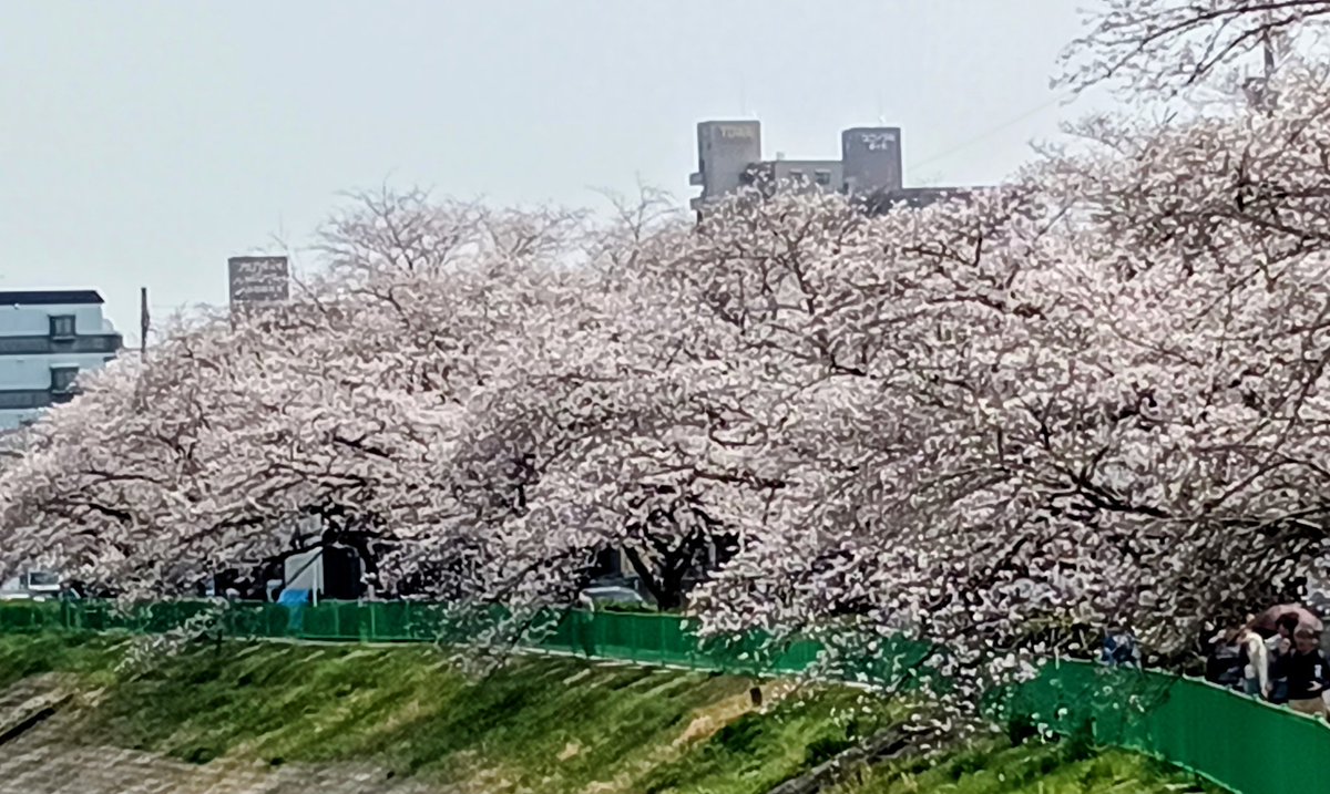 かえで tweet media