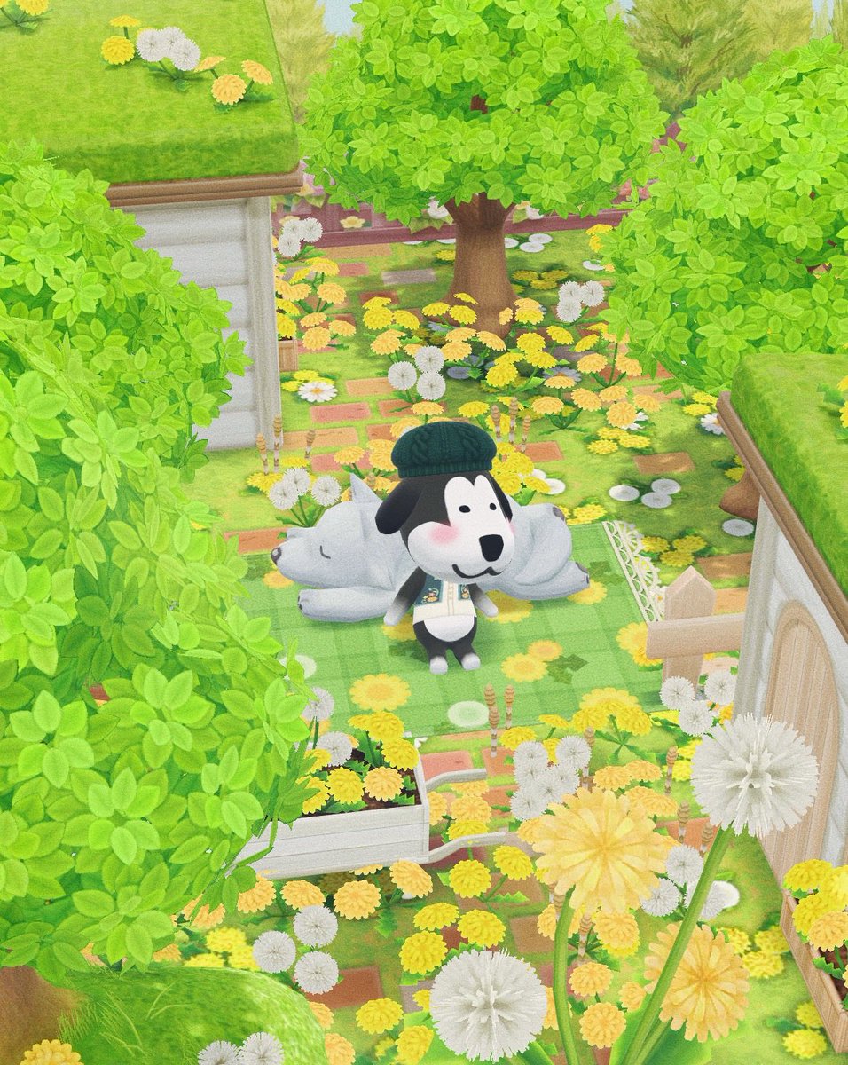 sotamori0814's tweet image. 最近のレイアウト🌿
3月終わる、早い🥹

#ポケ森 #acpc
