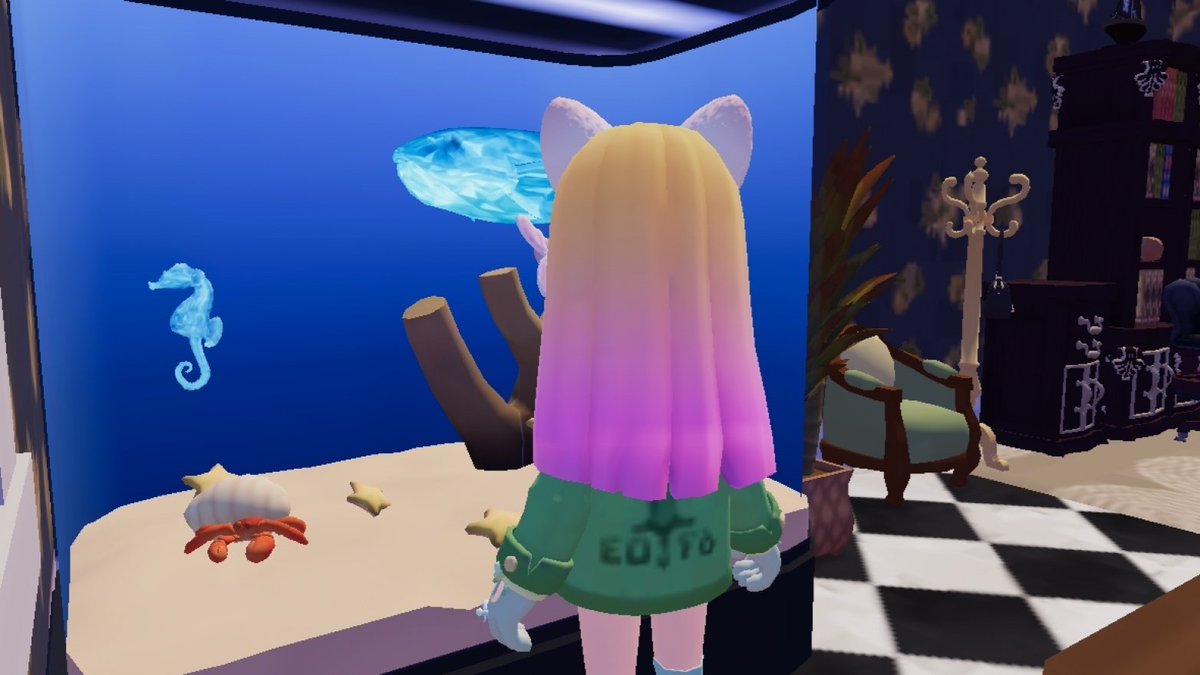 Ruuka 🦚🐤 tweet media