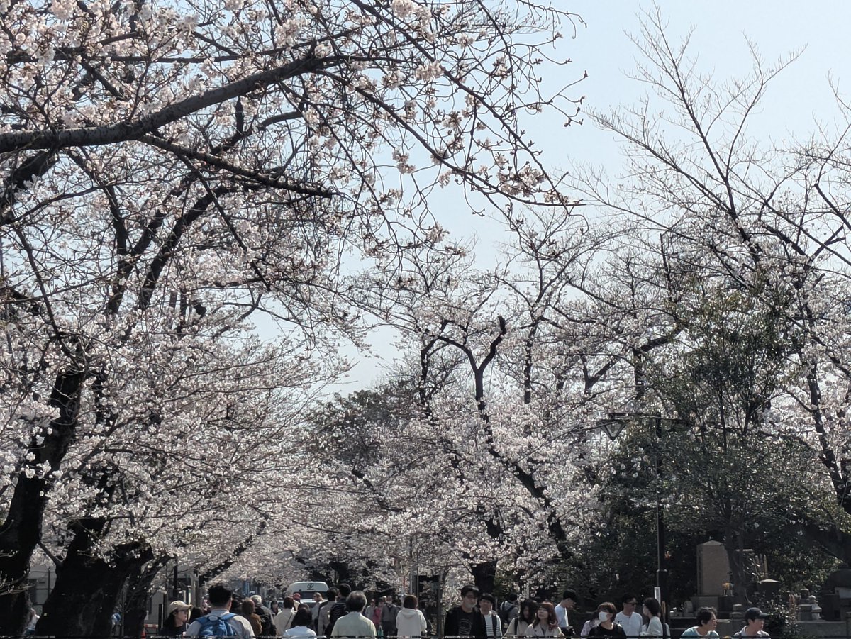 リリん tweet media