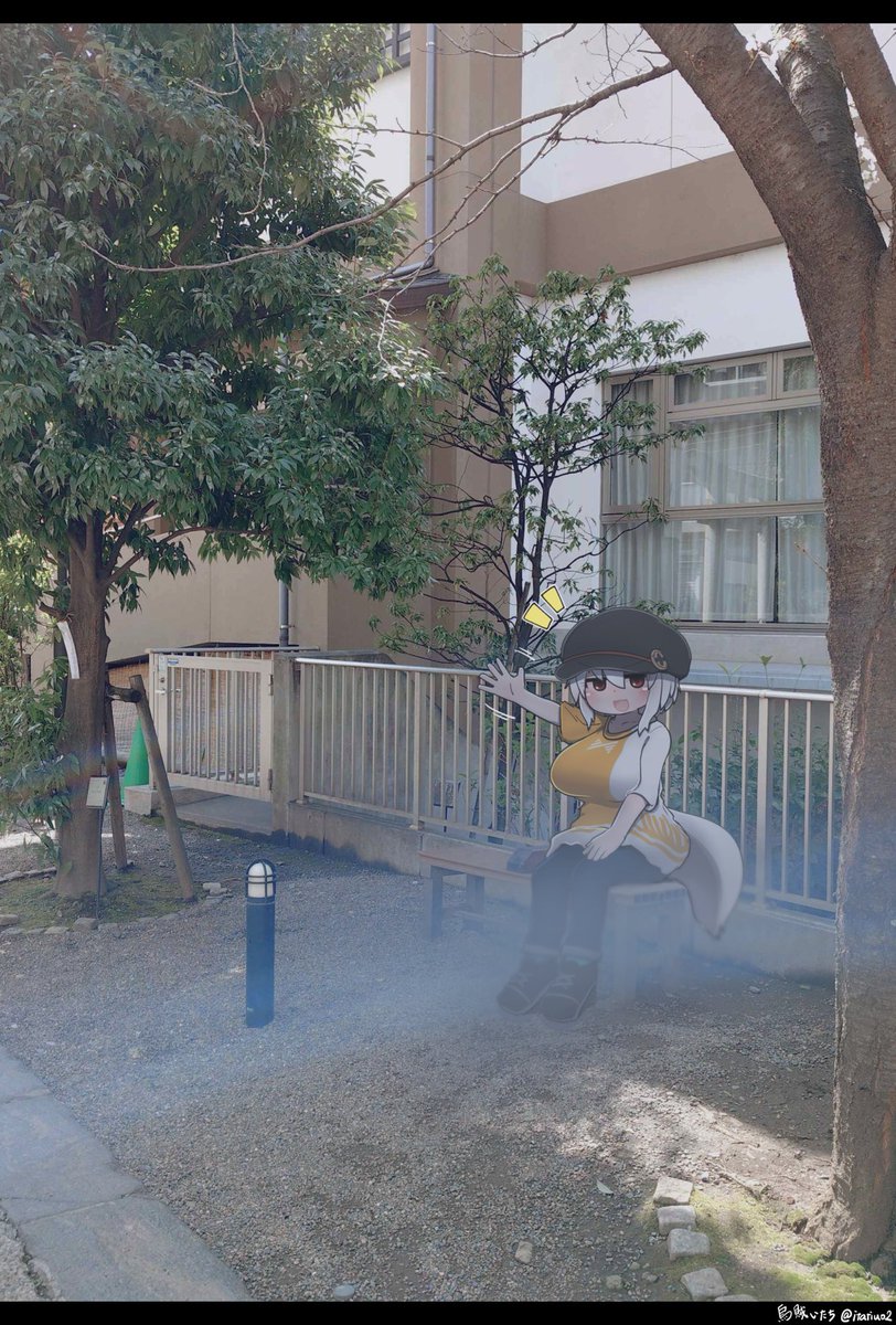 烏賊いたち tweet media