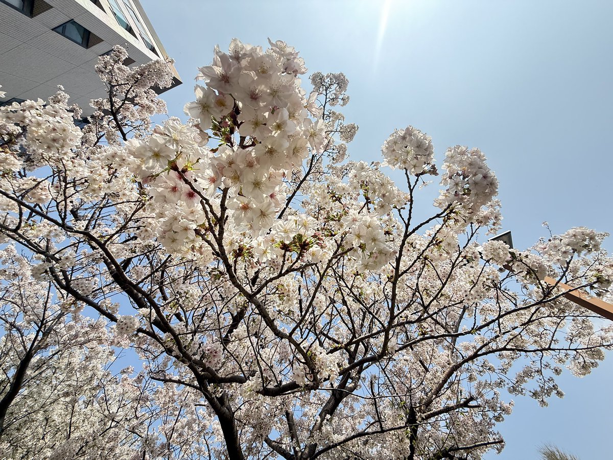 𝕟𝕚𝕔𝕔𝕪 tweet media