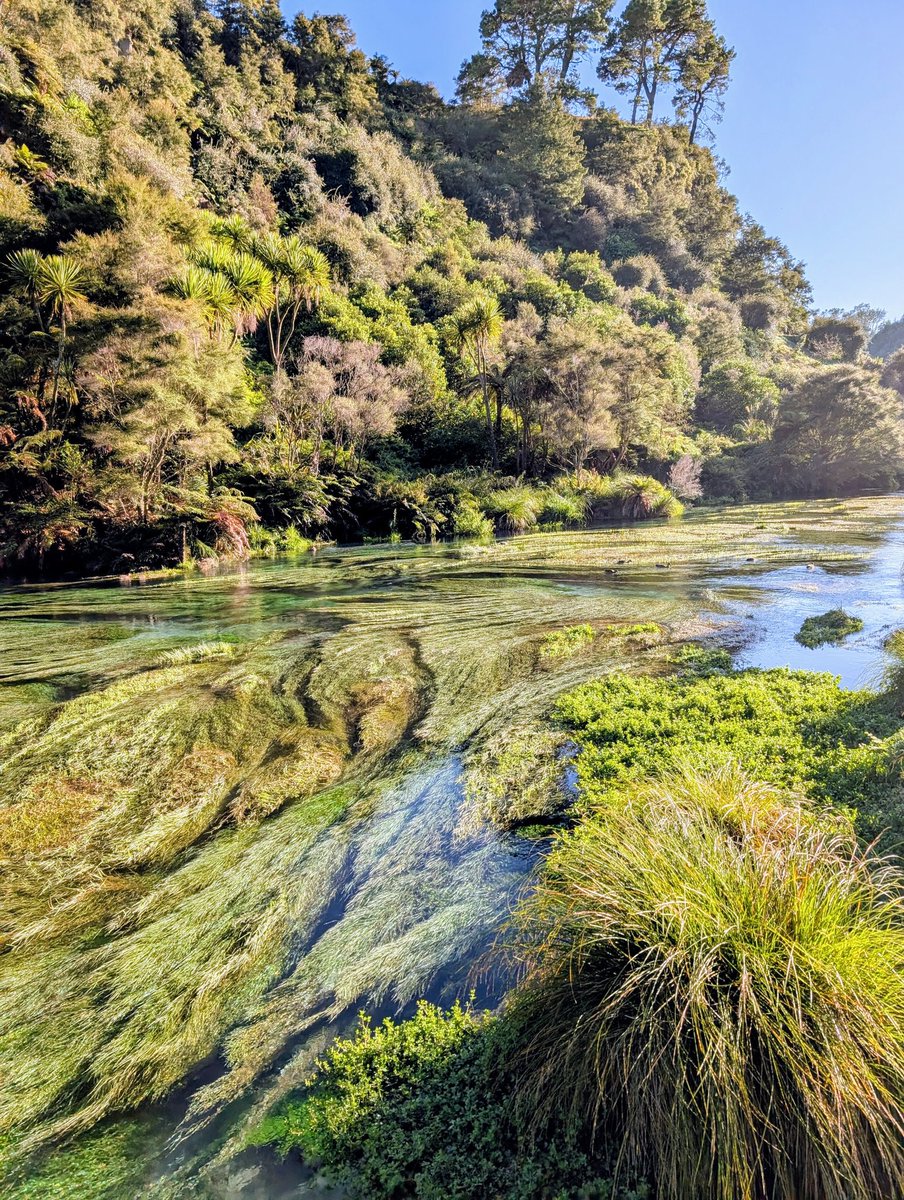 william voyage🧭 tweet media