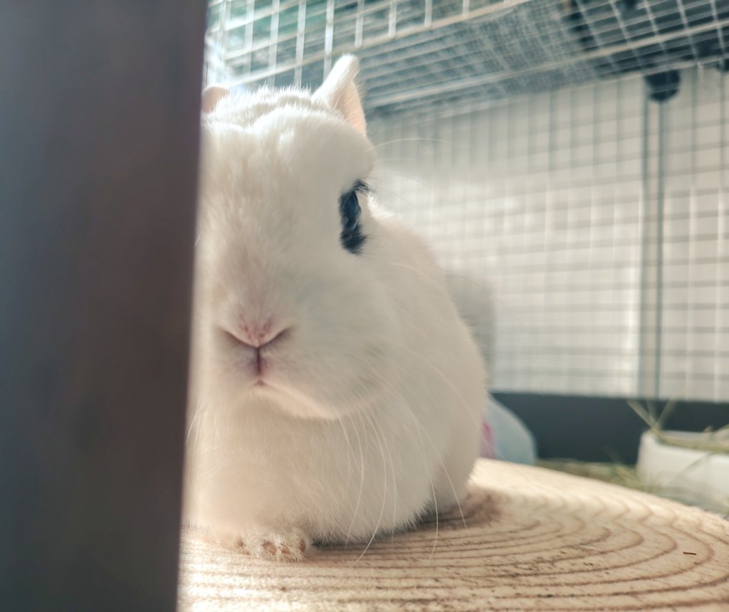 🐰ゆき🤤やこ tweet media