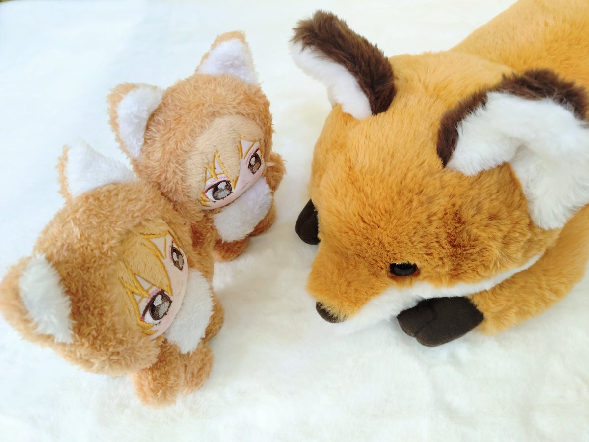 KaBo ＊ 鳳梨🍍 tweet media