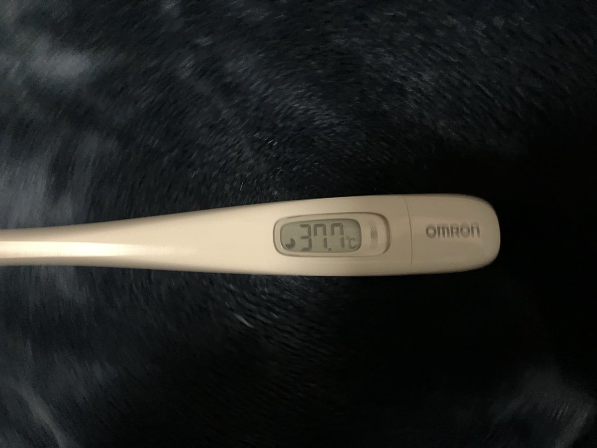 🌙蓋付🐉 🐯 tweet media