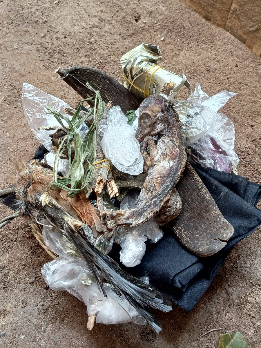 Onwa_Nnewi tweet media