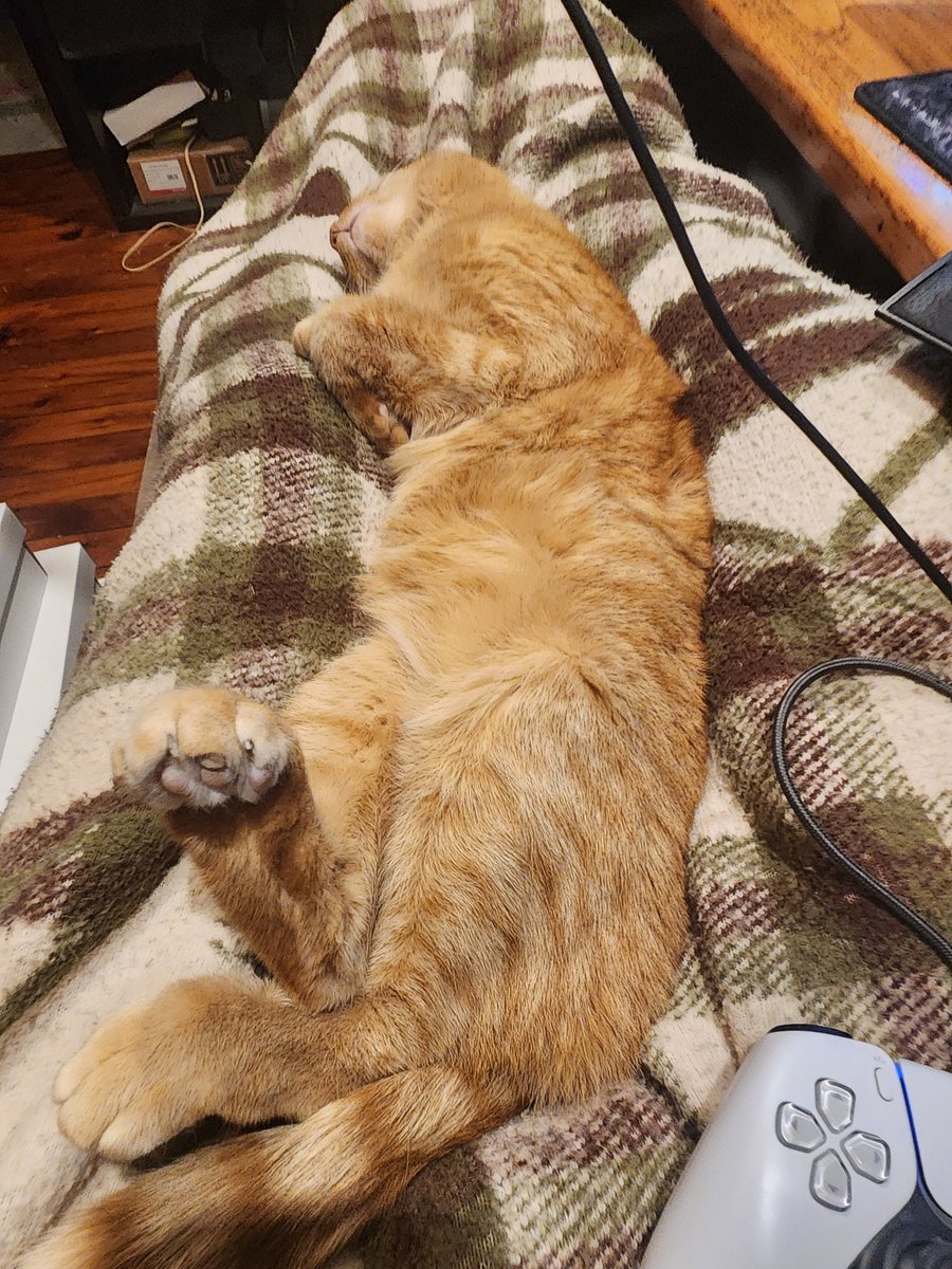 Zeb⚡️PWP⚡️ 🧊The Cube Tutor🧊 tweet media