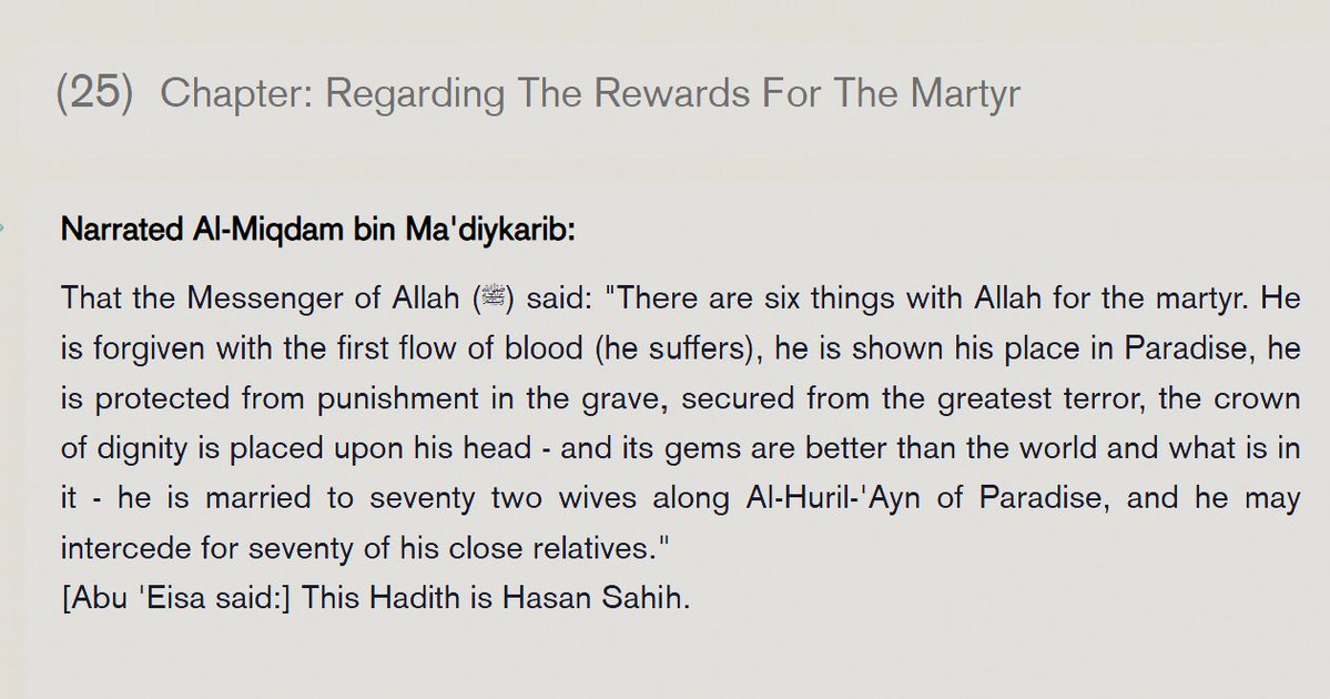 Moreno ☕ Ⓜ️ tweet media