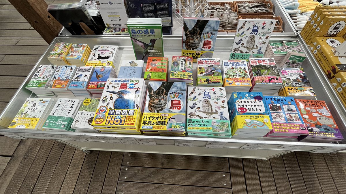 【公式】特別展「鳥」 tweet media