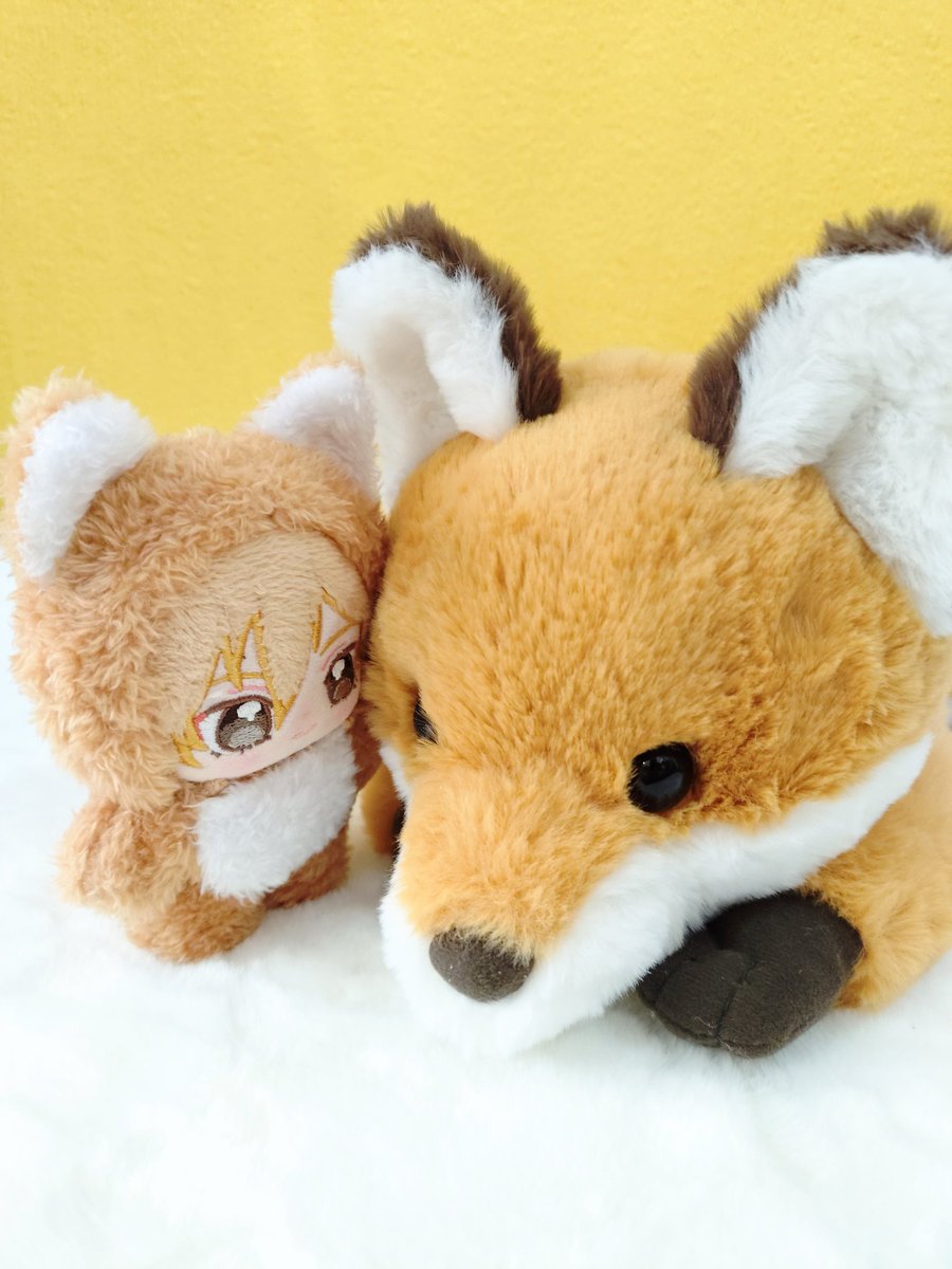 KaBo ＊ 鳳梨🍍 tweet media