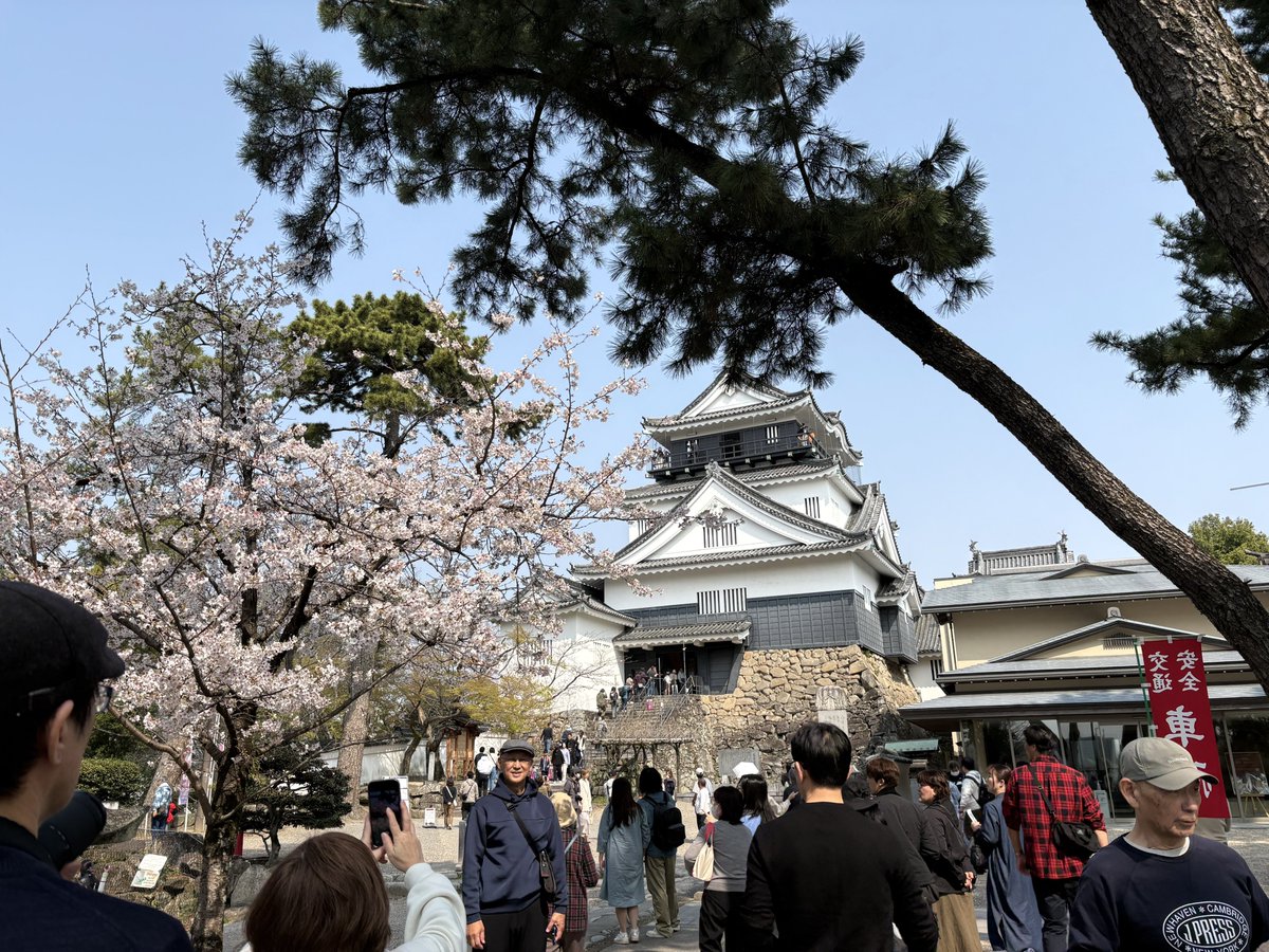 cube_きゅーぶ tweet media