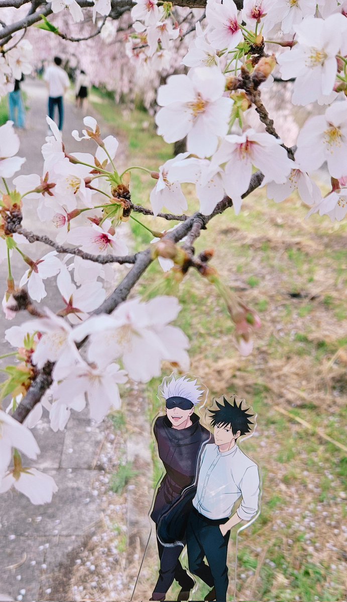 あっこ😎🐺💙💚🤍🖤 tweet media