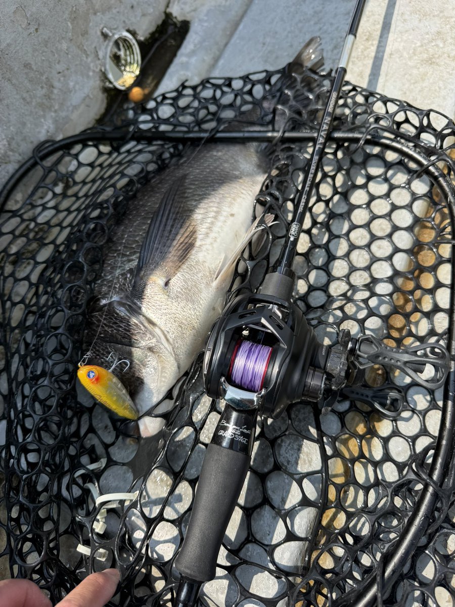 AnglersStaff tweet media