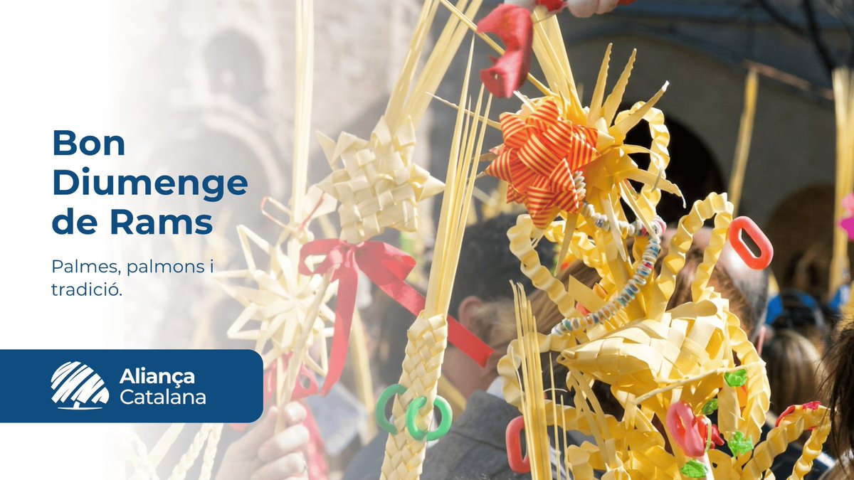 Aliança Catalana tweet media