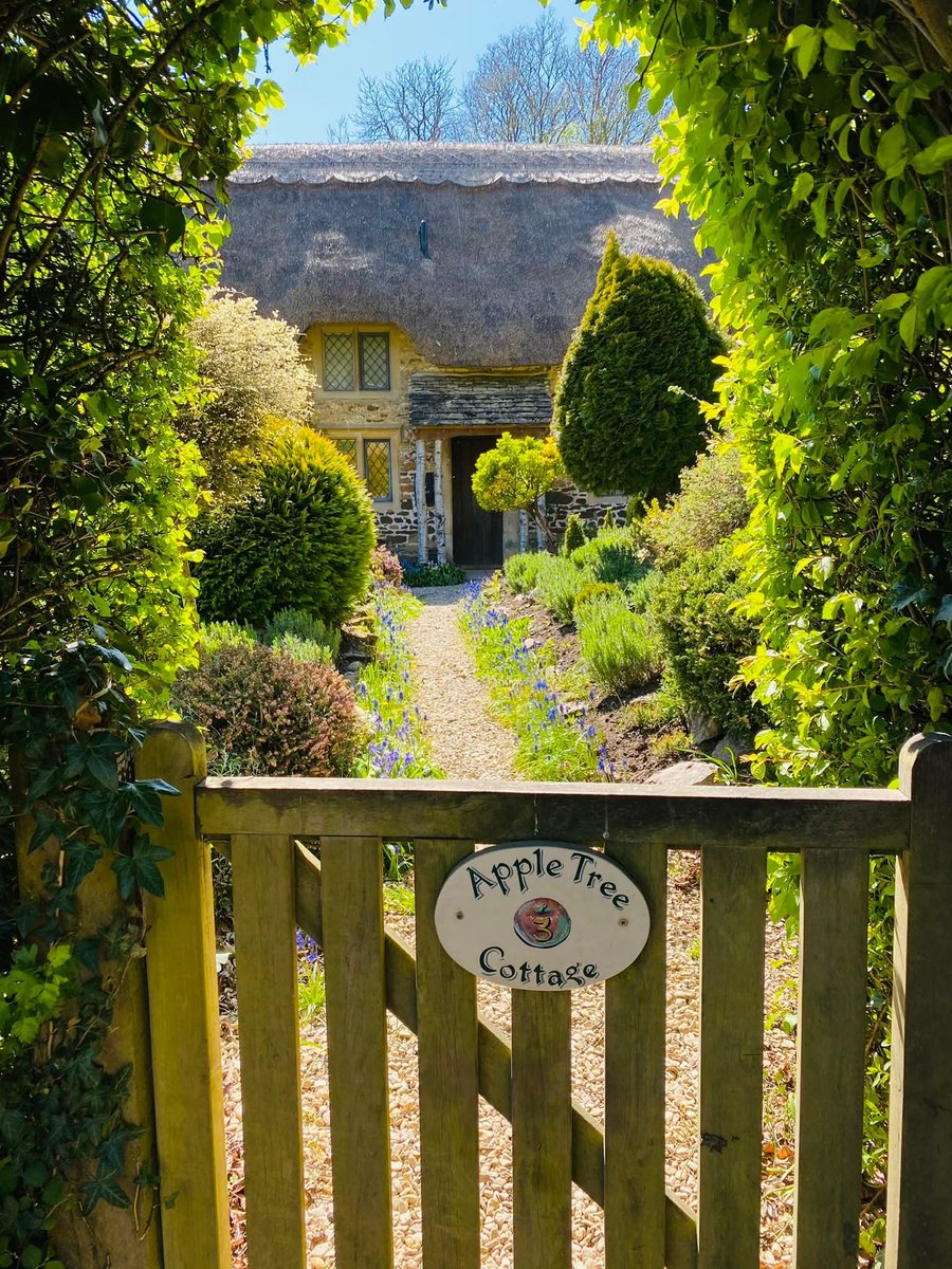 WanderLens tweet media