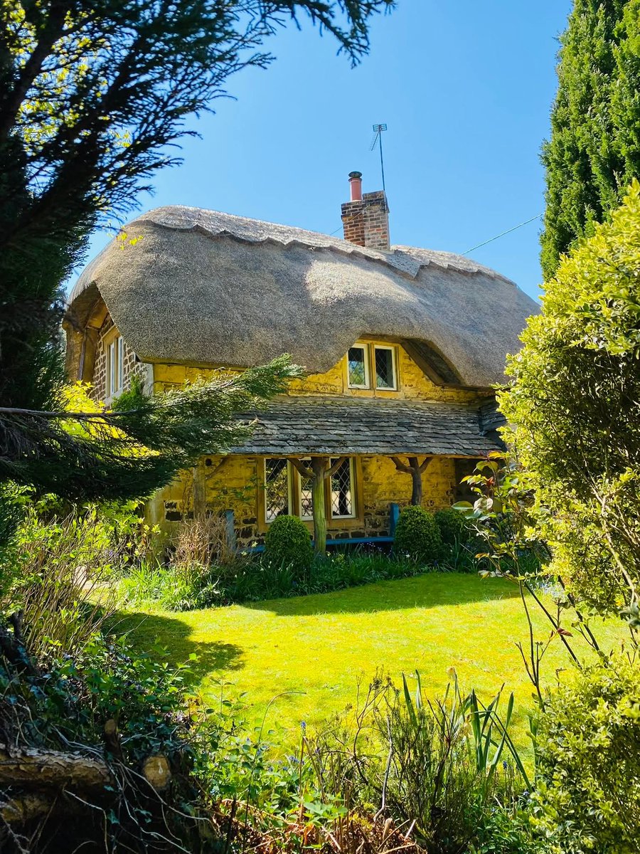 WanderLens tweet media