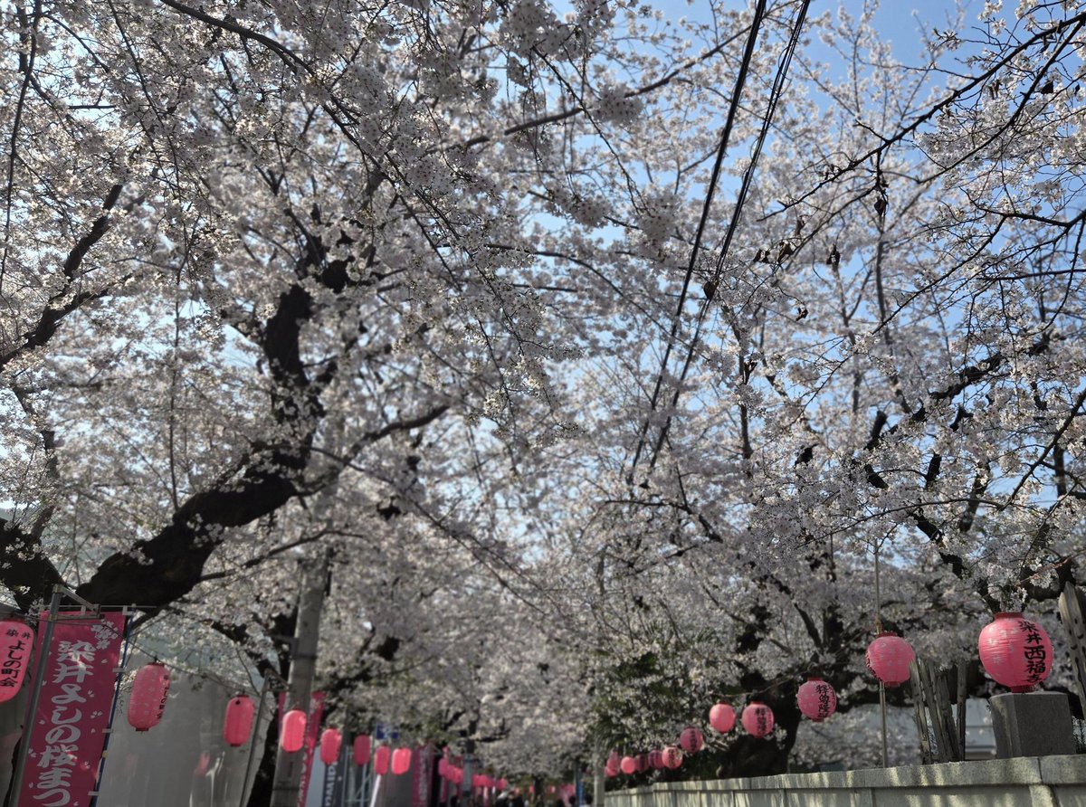 べティ tweet media