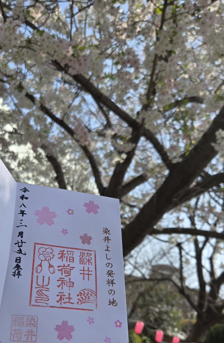 べティ tweet media