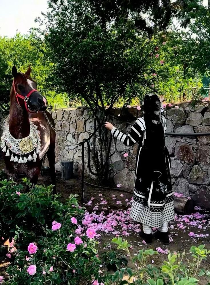 MENA Vibes tweet media