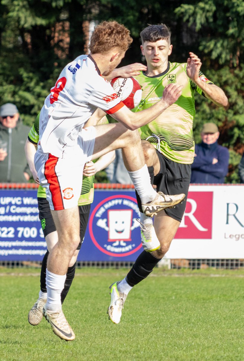 Lara palmer tweet media