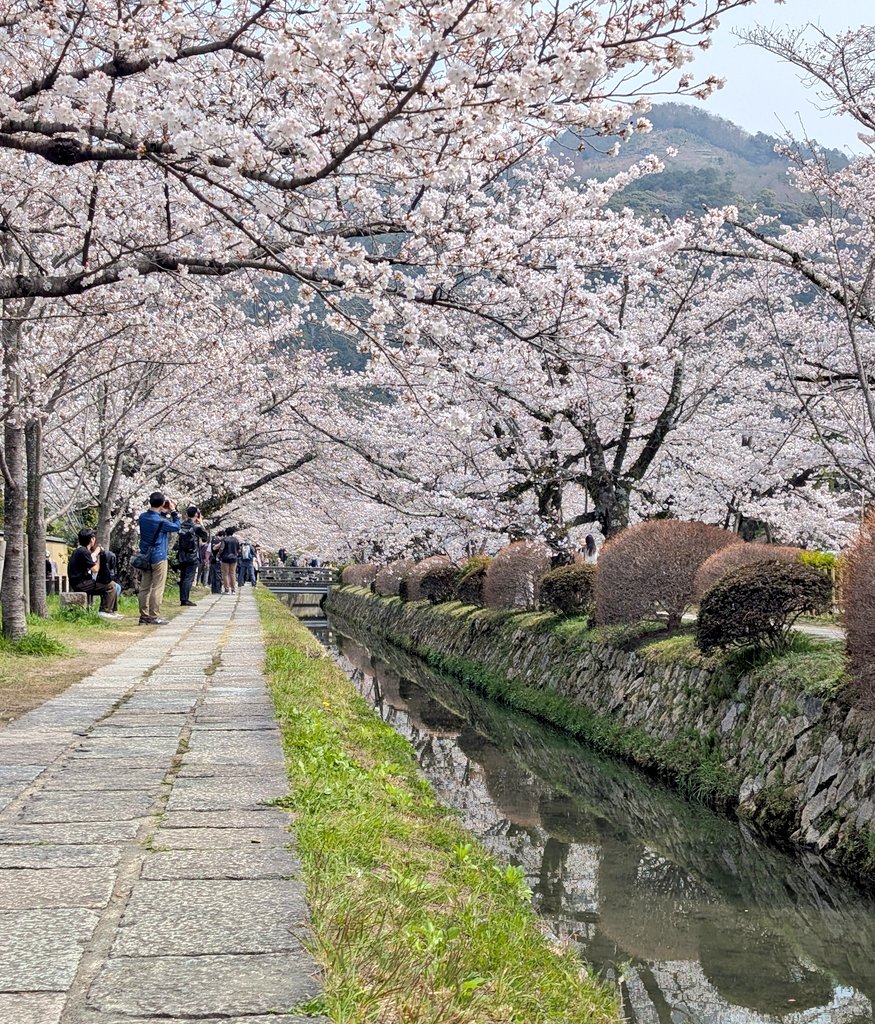 HACHI公 tweet media