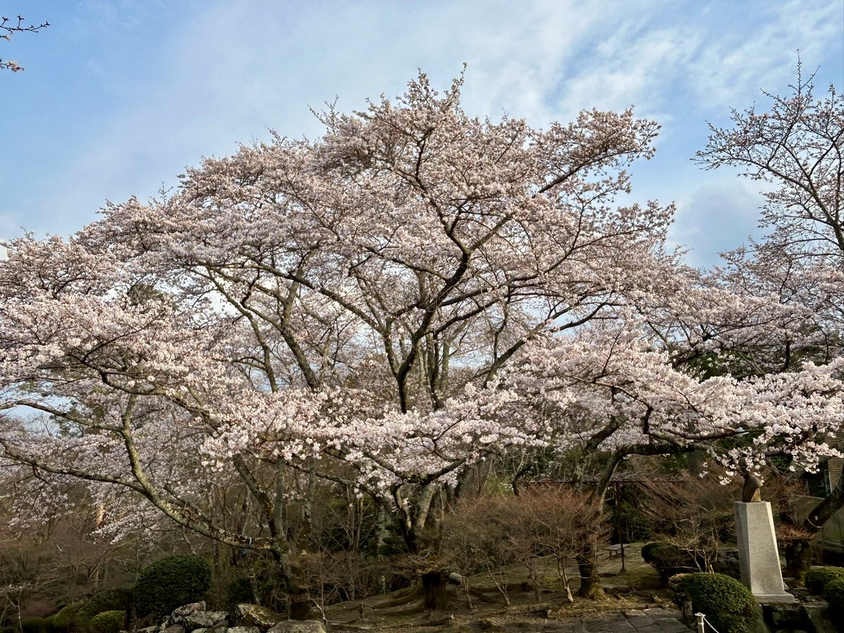 いでや tweet media