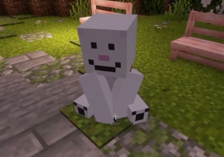 𝖖!𝖒𝖔𝖔𝖓𝖆 tweet media