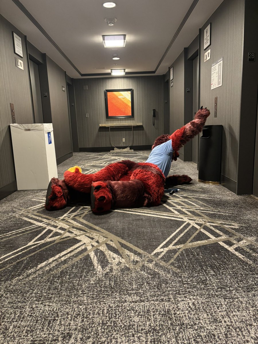 Vger Fox 🔜 TFF2026 tweet media