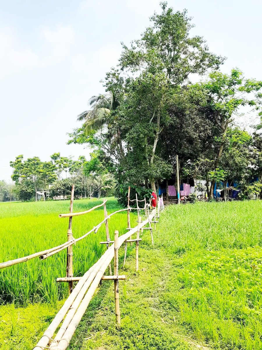 Kaji Salim tweet media