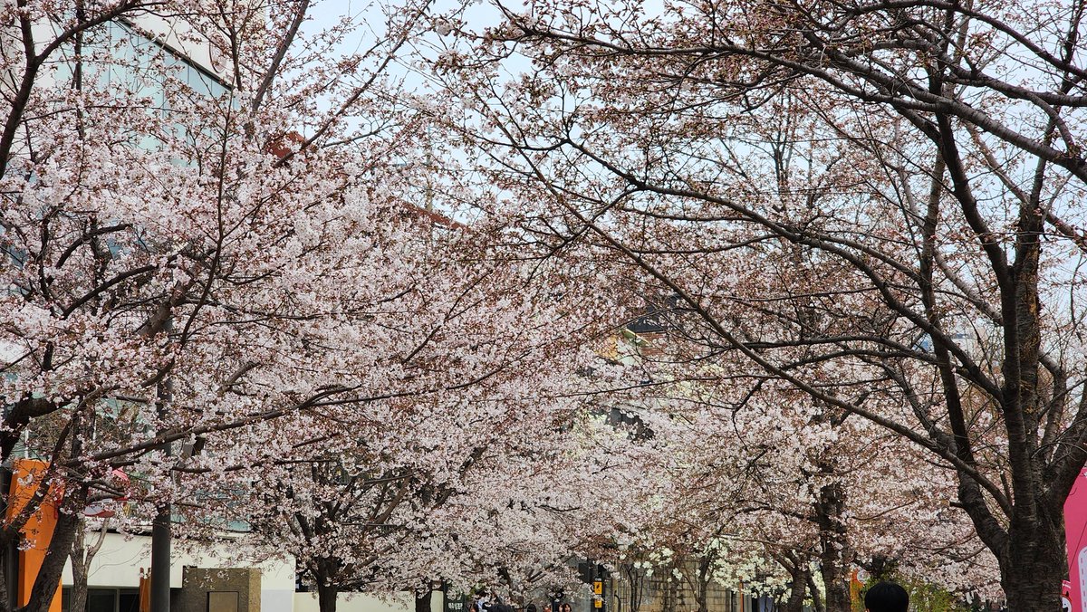 흔겜일 tweet media