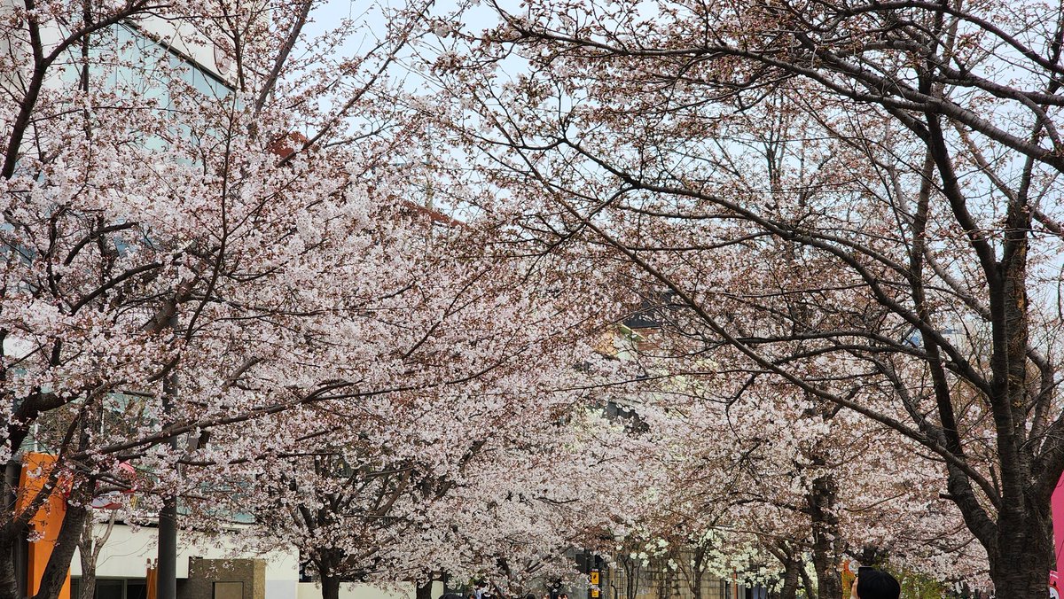 흔겜일 tweet media