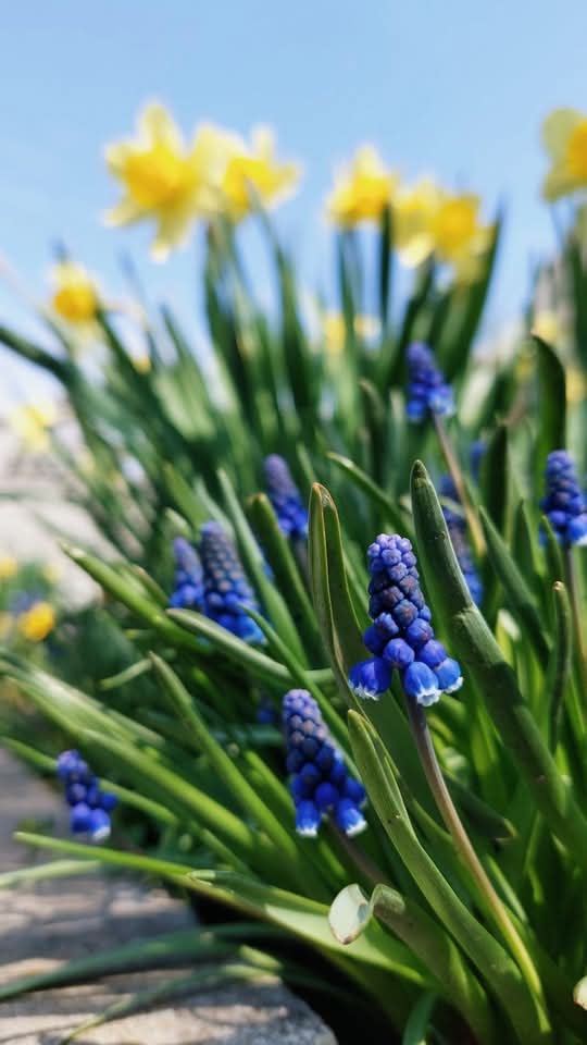 Юлия tweet media