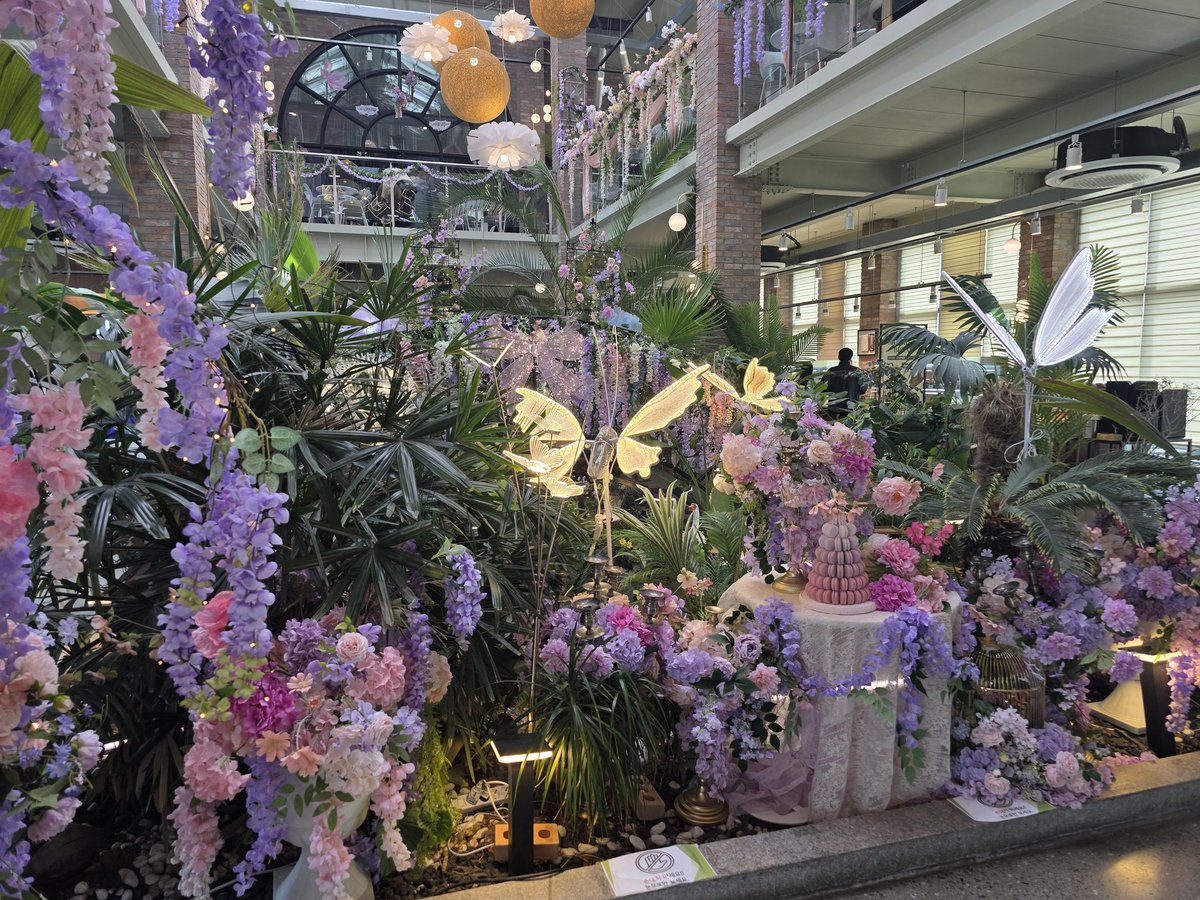 카나🐣 tweet media