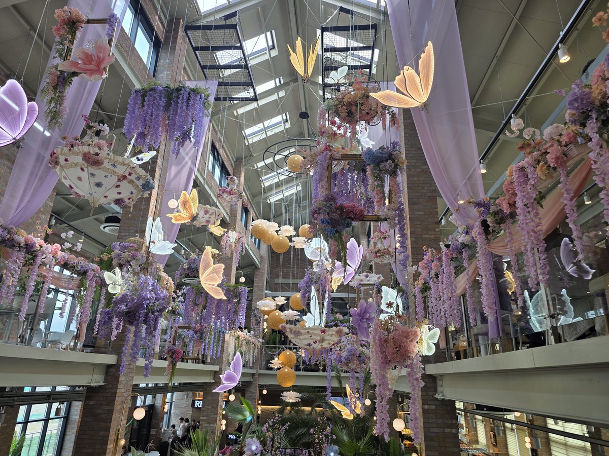 카나🐣 tweet media