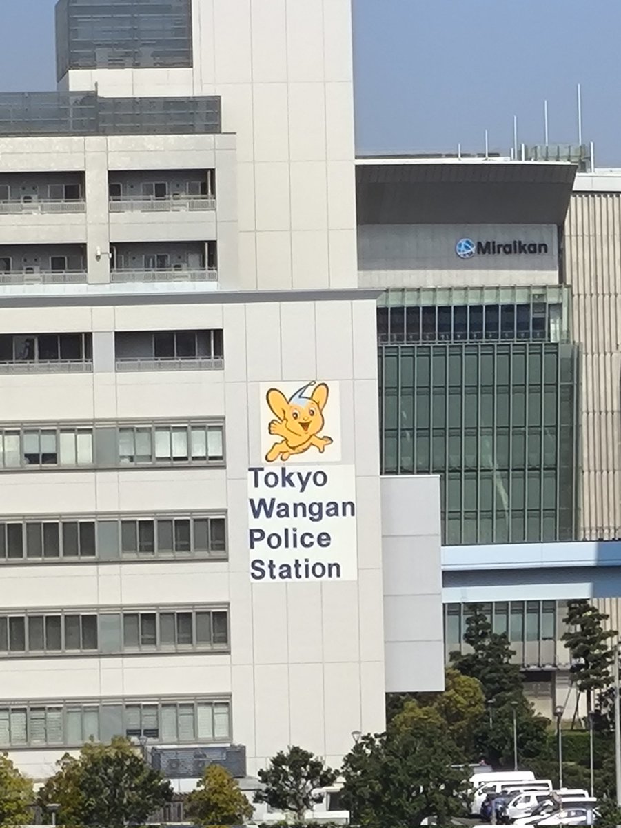 はるき💦 tweet media