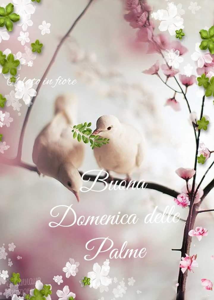 Nicoletta Duzzi 🌺♉ tweet media