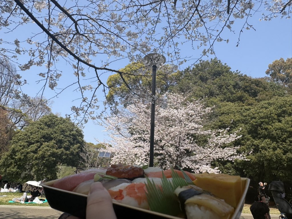 🌸🍣